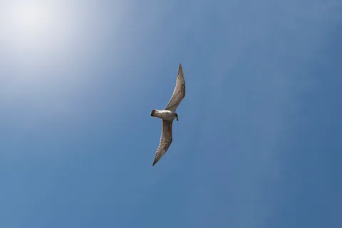 På KlinikNord har vi stor erfaring med familier med børn med autisme. Vi tilbyder forløb inden for metoden; anvendt adfærdsanalyse (ABA), hvor vi har fokus på barnets eller den unges adfærdsmæssige udfordringer samt familiens trivsel.