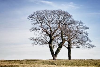 Angst er en naturlig grundfølelse, som vi alle har, men for nogle børn og unge kan den tage overhånd, hvor angsten kan være svær at få ned på et normalt leje igen. Angst kan se forskellig ud fra barn til barn og fra familie til familie